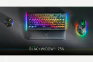 Razer BlackWidow V4 75%