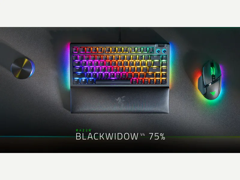 Razer BlackWidow V4 75%